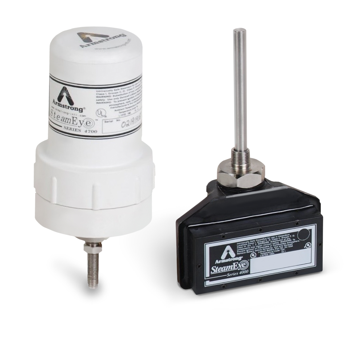 SteamEye<sup>®</sup> Intelligent Monitoring
